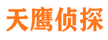 波密寻人公司